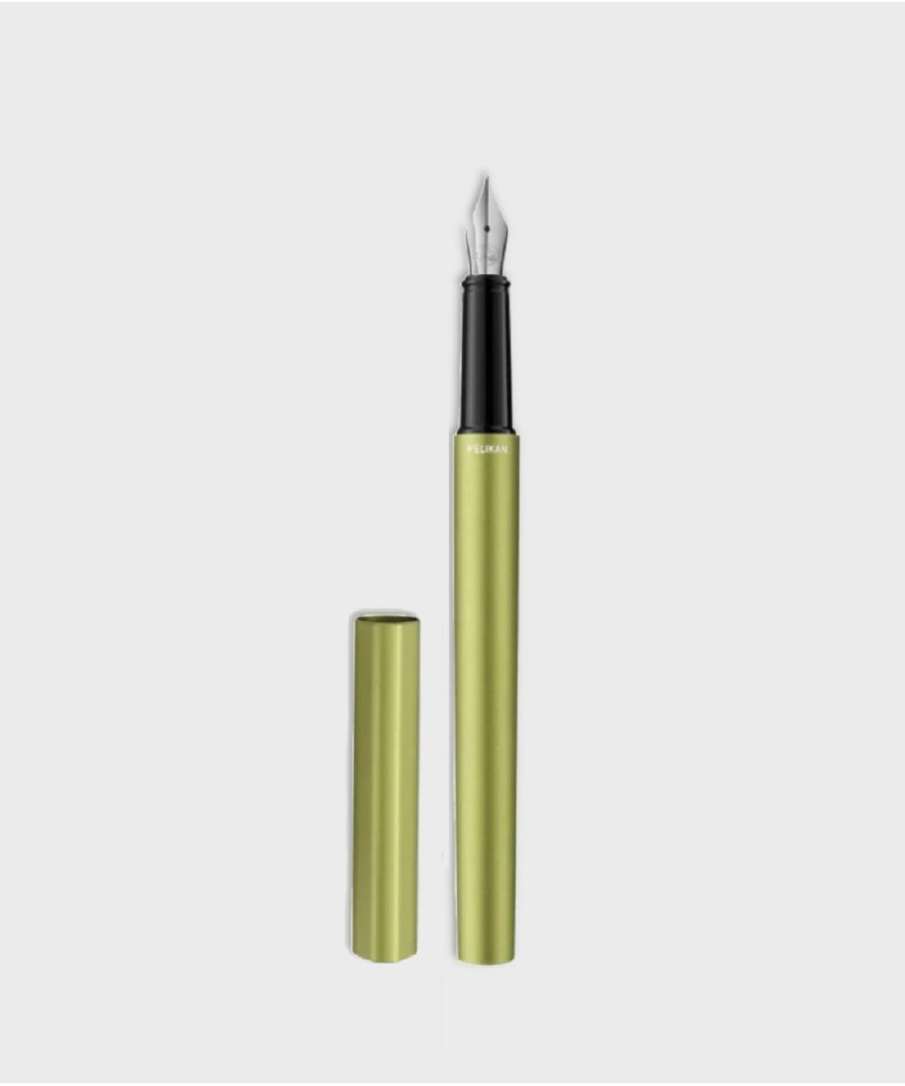 Pelikan Ineo Elements Green Oasis Fountain Pen