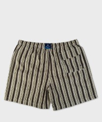 Arcuri men's striped jacquard boxer swimwear, green