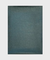 Galise reversible scarf in silk and wool, green cashmere pattern