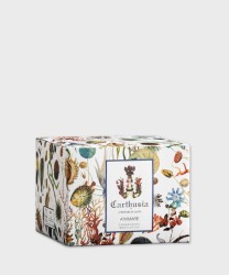 Carthusia A'Mmare body cream 250 ml