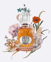 Les Folies du parfum Vestis Extrait de Parfum