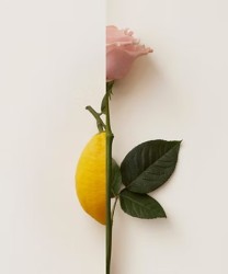 New Notes Rosa Limone Extrait de Parfum