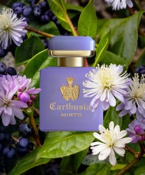 Carthusia Myrtle Intense Perfume