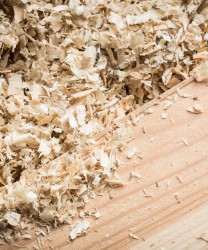 J-Scent Wood Flake Eau de Parfum