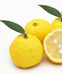 J-Scent Yuzu Eau de Parfum