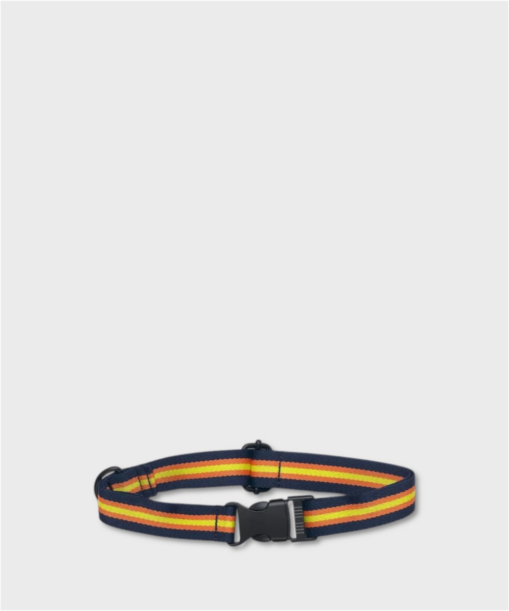 Kway Doo Multi-Color Dog Leash Collar