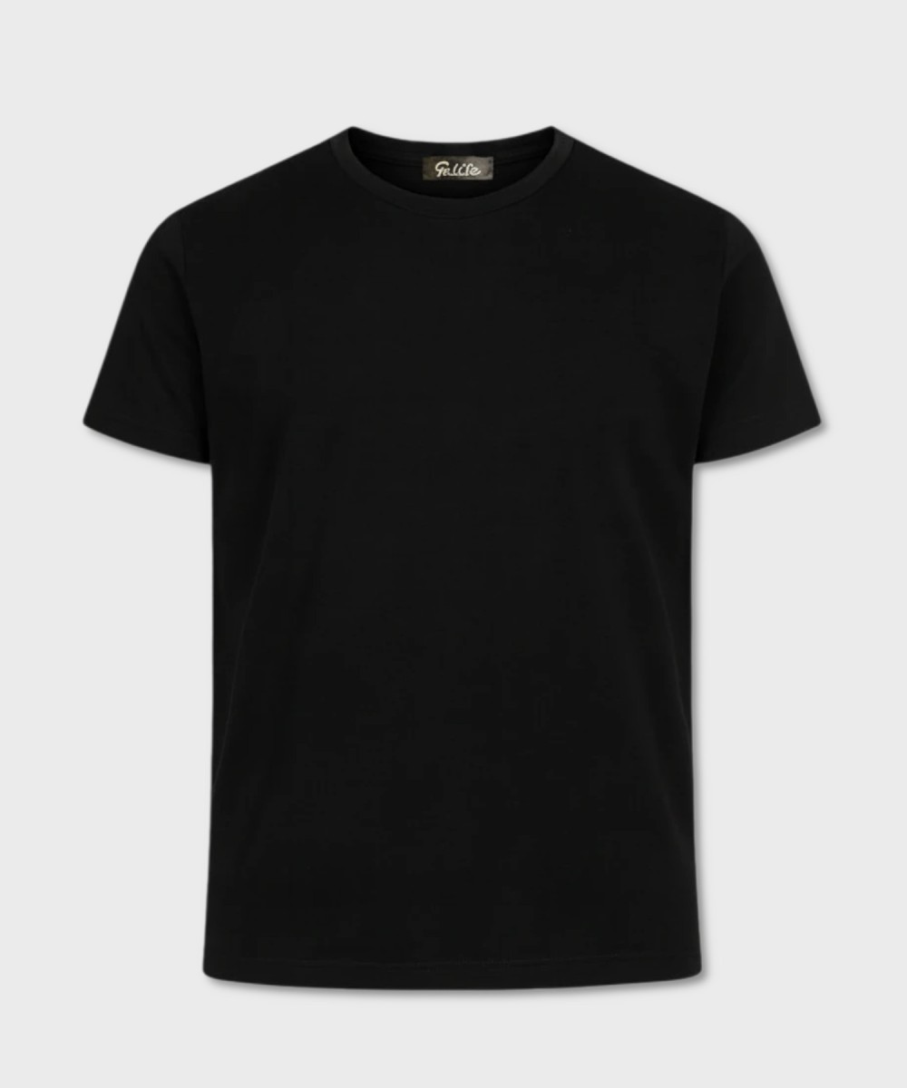 Galise Crew Neck T-Shirt with Half Sleeves in...